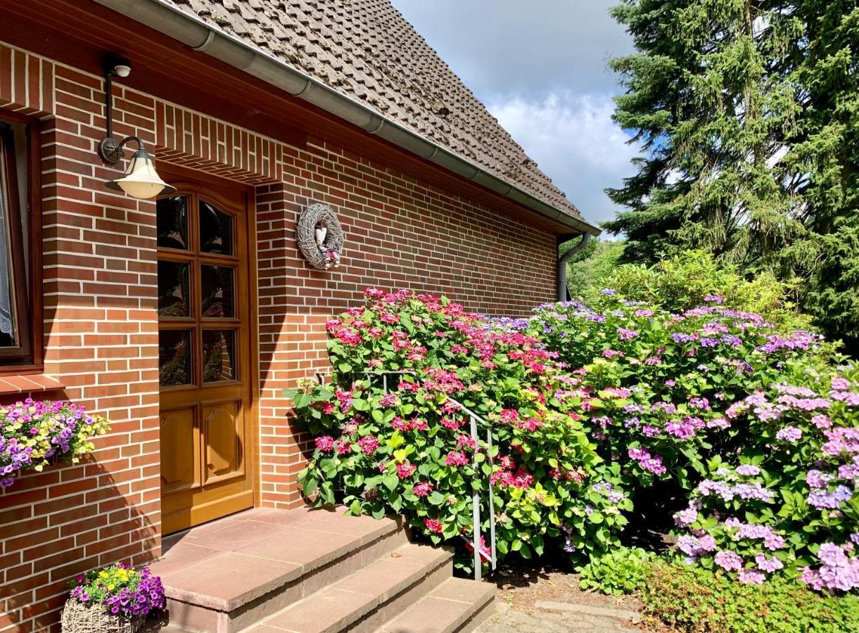 Apartment Hillmer Bispingen Exterior foto
